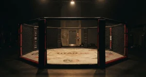 Online auf MMA wetten in Deutschland – Anbieter, Regeln, Quoten